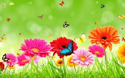 Beautiful-floral-flowers-wallpapers-17